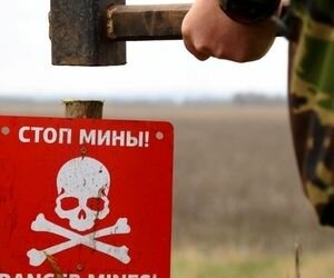 Наблюдатели ОБСЕ впервые увидели в ОРДЛО предупреждение о минах