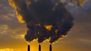 ВОЗ: Загрязнение воздуха ежегодно убивает семь миллионов человек
