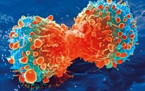 Американские ученые значительно продвинулись в лечении смертельных видов рака