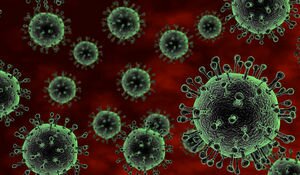 Тест на коронавирус: медики проверят всех жителей Уханя