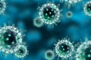 Коронавирус мутировал за время эпидемии: ученые рассказали, что изменилось