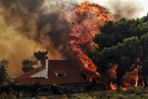 Украина готова помочь Греции в борьбе с масштабными лесными пожарами
