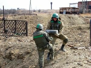 Канада предложила полностью очистить Украину от мин
