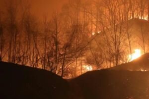 Сожженные деревья, машины и дома: Южную Корею охватил масштабный пожар. Фото, видео