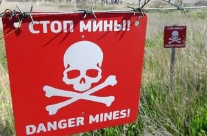 В МинВОТ назвали количество погибших от мин мирных жителей на Донбассе