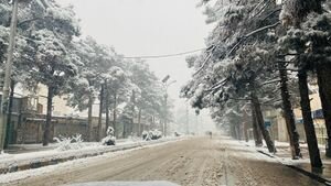 Гололед и мокрый снег: синоптики дали прогноз погоды на 18 ноября