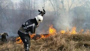 Зеленский подписал закон об усилении наказания за сжигание травы и загрязнение воздуха 