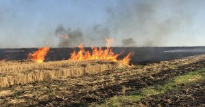 Пожар в Луганской области добрался до городской свалки Северодонецка (видео)