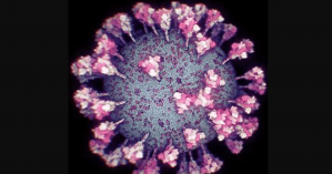 Ученые создали точную 3D-модель коронавируса, которая может помочь в создании вакцины: видео и фото