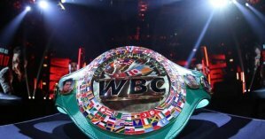 WBC анонсировал новую весовую категорию