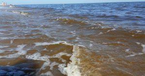 В Одесской области копы нашли у моря мертвую голую женщину