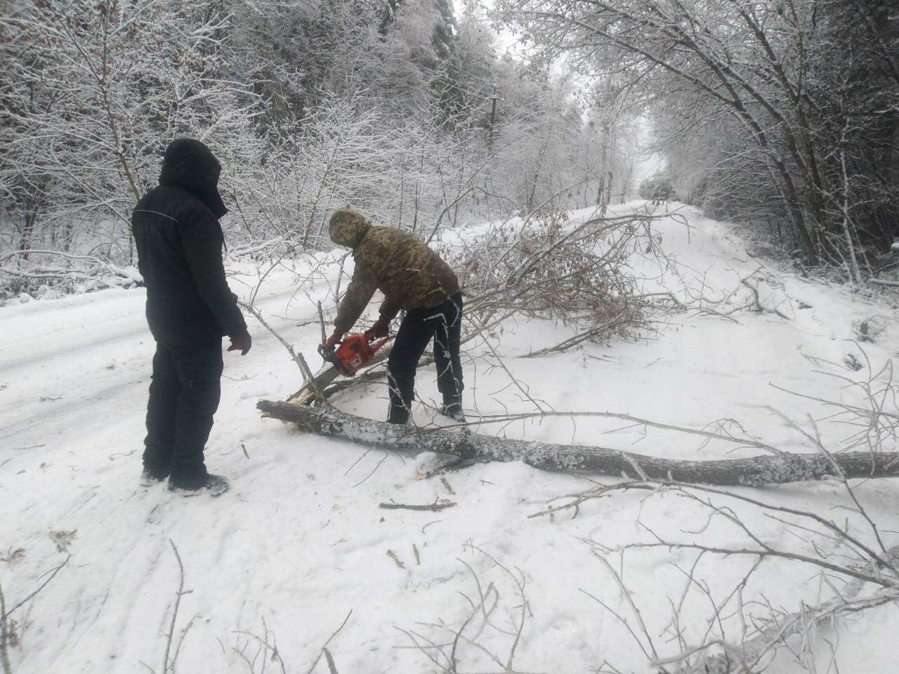 Снегопад в Черниговской области